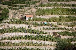 Walls: Get to know the 20 lieux-dits of Hermitage