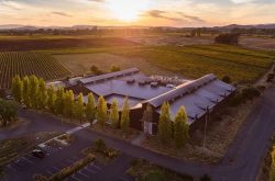 Duckhorn expands in Napa Valley with vineyard deals