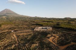 Azores to get own regional vine and wine institute