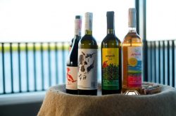 Ukraine winery’s mission to deliver bottles to DWWA
