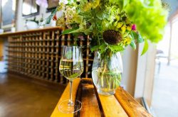 Hugh Johnson: ‘I’ve formed a bond with Grillo and flirted with Verdicchio’