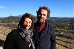 Walls’ hidden gems: Domaine La Ferme St-Martin, Beaumes de Venise