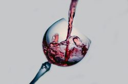 Andrew Jefford: ‘Pinotism is a cult within the wine world. Why?’