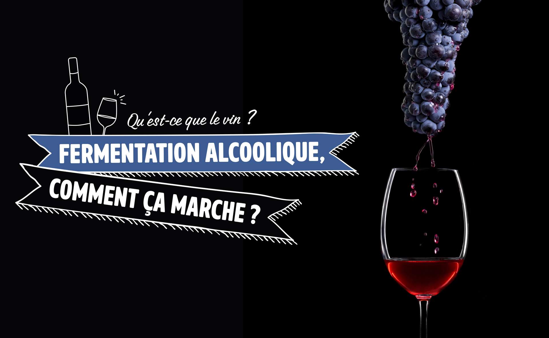 Fermentation alcoolique, comment ça marche ? Journal du Vin