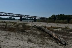 Drought emergency declared in northern Italy