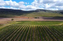 Argentina confirms Balcarce as Buenos Aires’ fourth GI