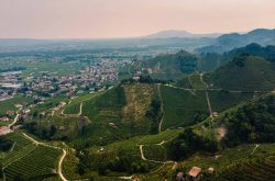 Prosecco secures trademark protection in New Zealand