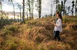 Corollary unveils plans to become Oregon’s first exclusively sparkling wine production estate