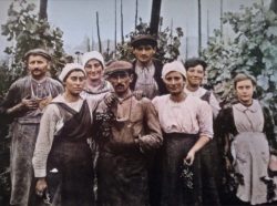 «L’épopée des vignerons», une plongée dans l’histoire du vin sur France 3