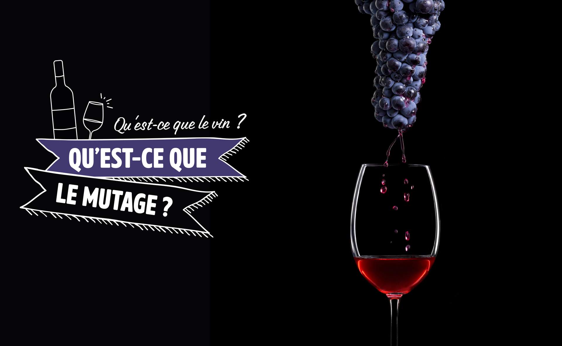 Qu’estce que le mutage? Journal du Vin