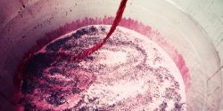 La France redevient le deuxième pays producteur de vin au monde en 2022