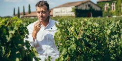 Nicolas Masse : « Je réfléchis mes assiettes comme l’assemblage d’un grand cru »