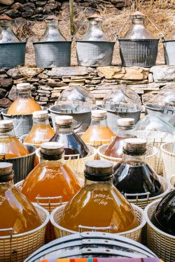 A La Guinelle, le vin tourne au vinaigre grand cru