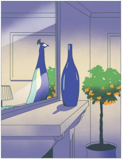 Le sans-alcool dans la cour des grands
