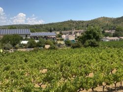 Correns, première coopérative en biodynamie de France