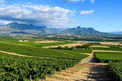 Grands Chais de France purchases historic Stellenbosch winery