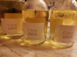 Champagne Le Brun de Neuville célèbre les terroirs méconnus de la côte de Sézanne