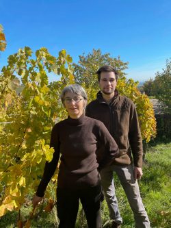 « On a planté les vignes comme les anciens le faisaient. Juste un bout de bâton dans la terre, sans racines, sans porte-greffe » : le Domaine Trapet, de la Bourgogne à l’Alsace