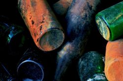 Leading wine professionals sign letter calling for alternative packaging
