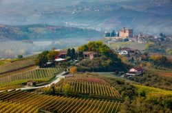 Second Barolo en primeur auction raises more than $769,000