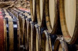 Rare Domaine Ponsot wine auction tops £1m in sales – Christie’s