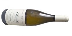 Chablis Vieilles Vignes 2020 du Domaine Bessin Tremblay