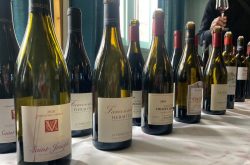 Walls: the best Rhône wines to buy in the UK right now
