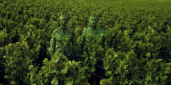 Avec Pommery et Ruinart, l’art contemporain bat la Champagne