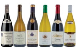 Top Burgundy wines: 18 to try from Decanter World Wine Awards