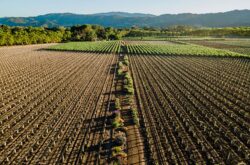 Napa Valley’s Favia to get new winery and home