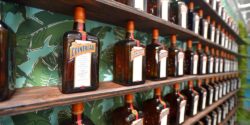Rémy Cointreau : ventes en baisse au troisième trimestre, mais sur 9 mois le chiffre d’affaires est en hausse