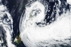 New Zealand wine producers begin harvest in the wake of cyclone destruction