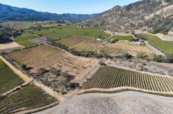 Napa Valley’s Eisele Vineyard acquires nearby property