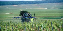 L’épandage de certains pesticides interdit à moins de 10 mètres des habitations