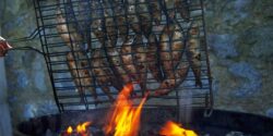 Quel vin boire avec des sardines grillées au barbecue ?