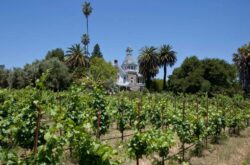 Napa: New Spring Mountain Vineyard owner plans major renovation